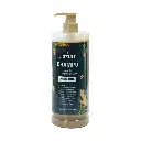 Shampoo Anticaida Con Extracto Jengibre